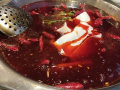 -之了火锅(公园街店)