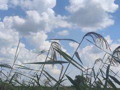 -黑龙江扎龙生态旅游区