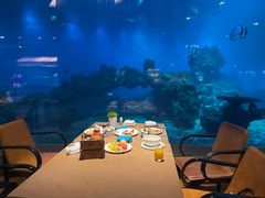 -涛·海底餐厅·美人鱼·自助餐·海底隧道(三亚海棠湾洲际度假酒店)
