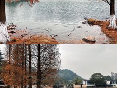 -明月山天沐温泉度假村