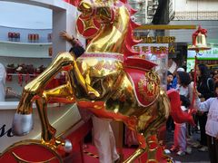 -越秀西湖花市(广州城市广场花卉店)