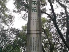 -桂林独秀峰王城景区
