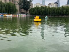 -团结湖公园