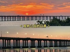 -深圳湾公园(南山区)