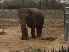 iphone_upload_pic-西安秦岭野生动物园