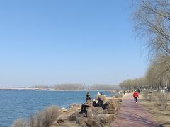 -丁香湖公园