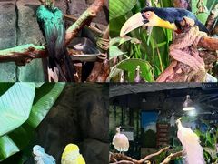 -正佳雨林生态植物园
