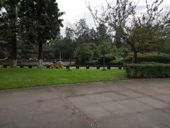 -四川大学(望江校区)