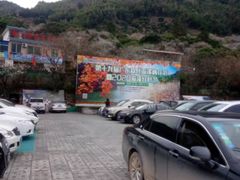 -广州市流溪河国家森林公园