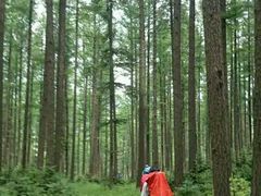 -芦芽山旅游度假区