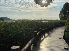 -东湖落雁景区