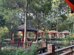 -二荆条·蜀鲜汇城市森林火锅