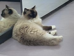 -M.S拳击泰拳馆(大学路店)