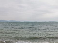 -杨梅坑