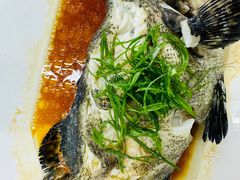-双月饭店·20年老字号(新村店)