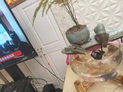 点击看大图 -Cocodemer女性健康·产后恢复(天一广场店)
