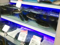 -盒马鲜生(大成店)