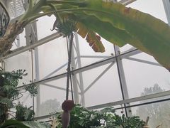 -北京植物园-展览温室