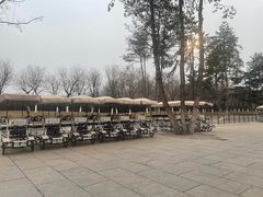 -汉长安城未央宫国家考古遗址公园