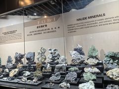 -烟台自然博物馆