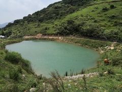 -大姆山草场
