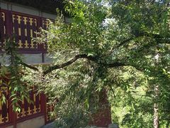 -普陀宗乘之庙(小布达拉宫)
