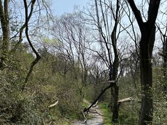 -青龙山国家森林公园