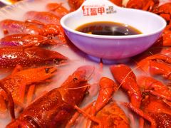 -红盔甲·小龙虾(定西路店)