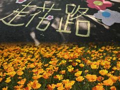 -江苏三台山国家森林公园