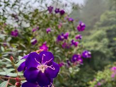 -广东天露山旅游度假区