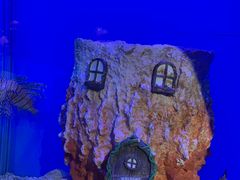 -海合安武汉极地海洋公园