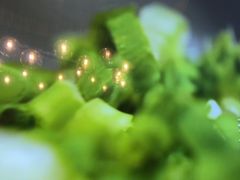 -巴奴毛肚火锅(广益哥伦布店)