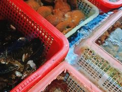 -坛南湾阿强农家乐.海鲜大排档老字号(福州地标美食店)