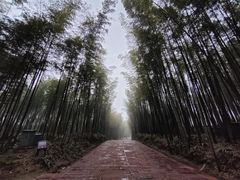 -蜀南竹海景区