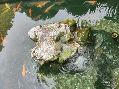 -寒山寺