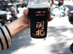闽北乌龙雪山-一树一叶·福建茶档(石鼓路店)