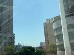 -八家子宠物市场