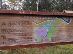 -汤旺河林海奇石景区