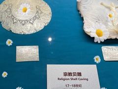 -青岛贝壳博物馆