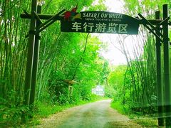 -海南热带野生动植物园