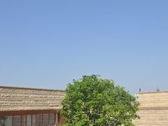 -盘龙城国家考古遗址公园