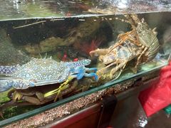-班赞海鲜市场
