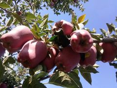 -隆门客栈·西北小吃手工面(丰盛町商业步行街店)