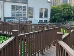 -苏州河梦清园环保主题公园