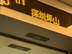 -深圳坪山站