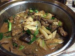 羊腩煲-润园四季椰子鸡火锅(海上世界店)