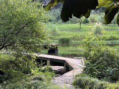 -杭州植物园
