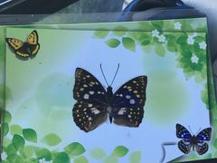 -上海昆虫博物馆