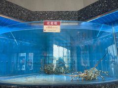 -协成海鲜火锅(情侣路店)