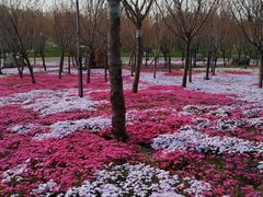 -南通洲际绿博园